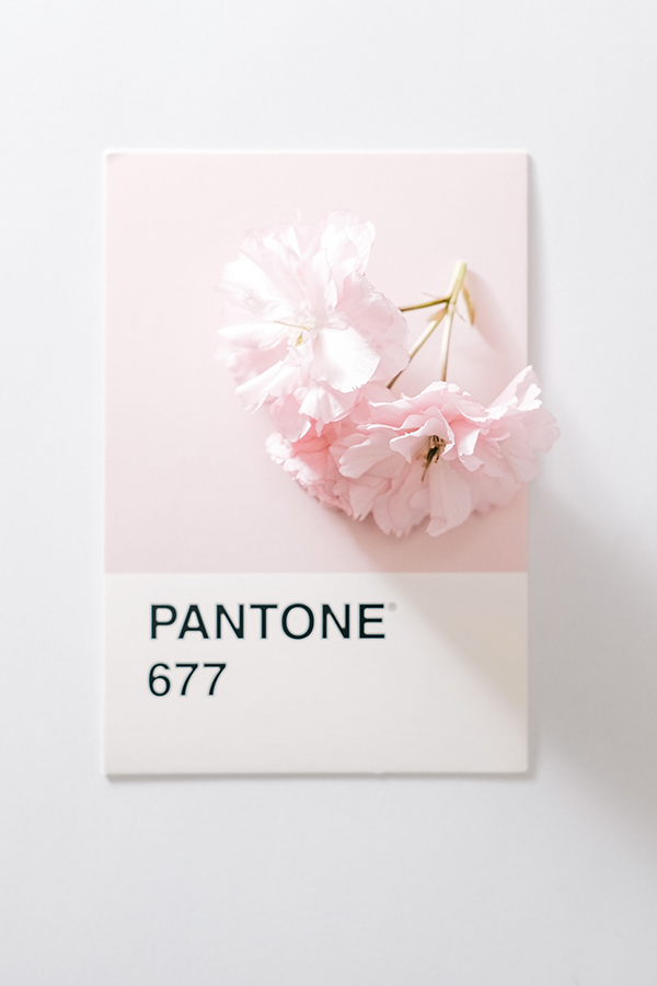 test2-marque-dameline